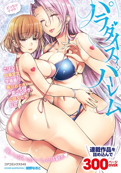 パラダイス イン ハーレム｜綾野なおと