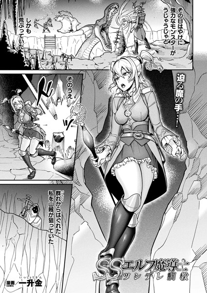 SS級エルフ魔導士 ツンデレ調教（単話）｜一升金