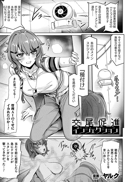 交尾促進インジェクション（単話）｜ヤルク