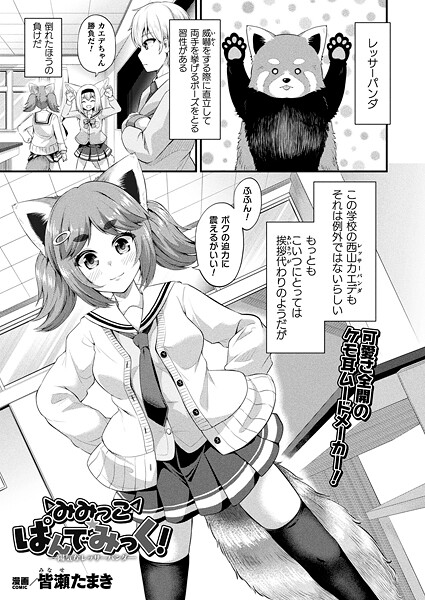 みみっこ・ぱんでみっく!―陽気なレッサーパンダ―【単話】|皆瀬たまき
