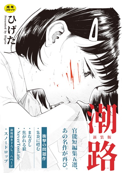 潮路 新装版|ひげた