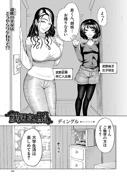 武野家の謎（単話）｜ディングル