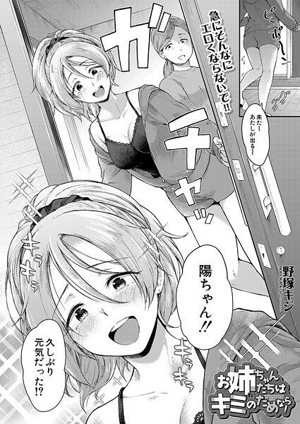 お姉ちゃんたちはキミのためなら! (野塚キジ)｜野塚キジ