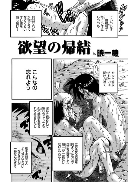 欲望の帰結（単話）｜暁一穂