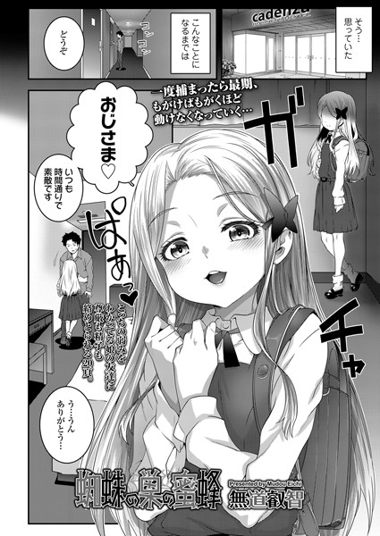 蜘蛛の巣の蜜蜂（単話）｜無道叡智