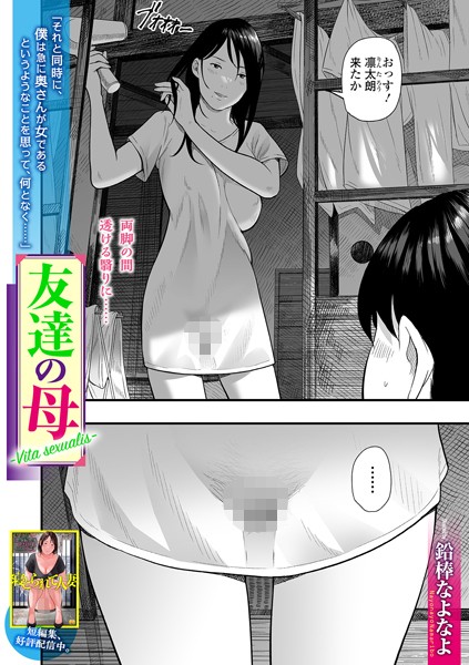 友達の母 Vita Sexualis|鉛棒なよなよ