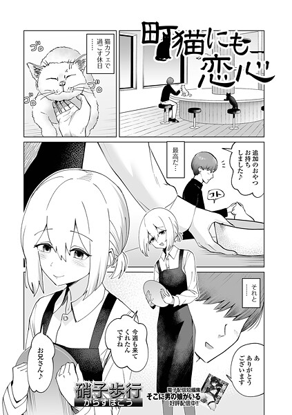 町猫にも恋心｜硝子歩行