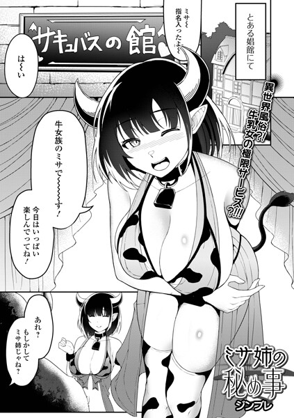 ミサ姉の秘め事｜ジンブレ