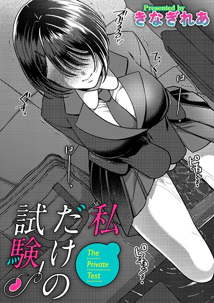 私だけの試験｜きなぎれあ
