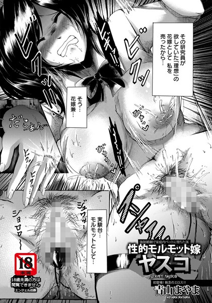 性的モルモット嫁 ヤスコ【単話】｜青山まやま