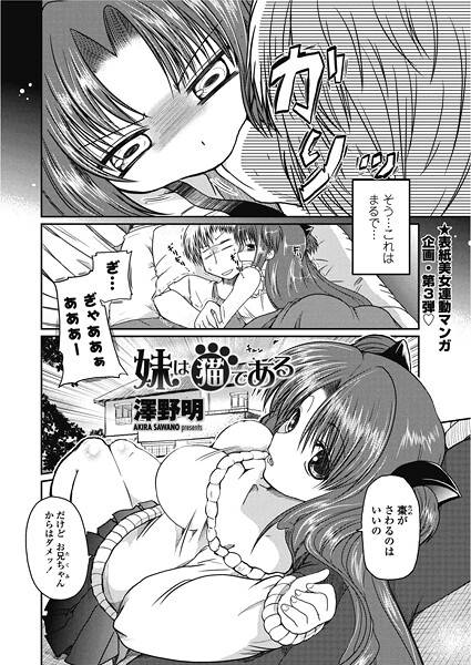 妹は猫である｜澤野明