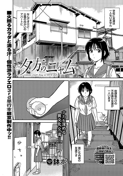 夕方のニャム（単話）｜鉢本