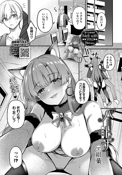 パートナー 特別編｜紺菓