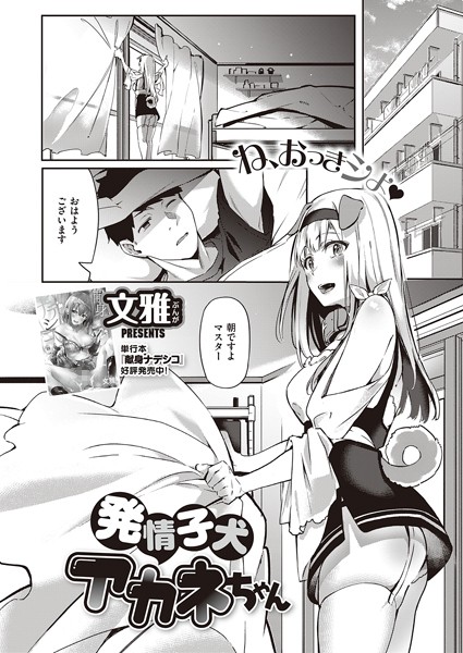 発情子犬アカネちゃん（単話）｜文雅