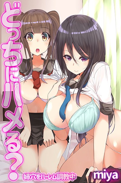 どっちにハメる？姉穴をハーレム調教中｜miya