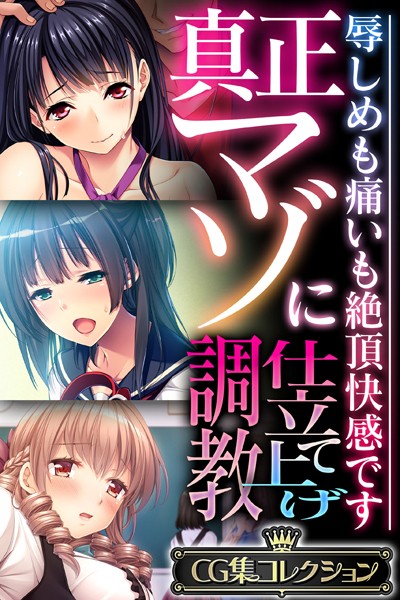 真正マゾに仕立て上げ調教 〜辱しめも痛いも絶頂快感です〜【CG集コレクション】｜大人のSEXY絵本
