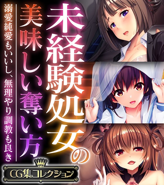 未経験処女の美味しい奪い方 〜溺愛純愛もいいし、無理やり調教も良き〜【CG集コレクション】｜大人のSEXY絵本