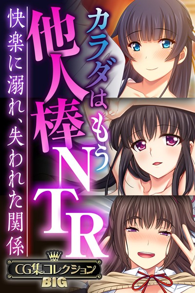カラダはもう他人棒NTR 〜快楽に溺れ、失われた関係〜【CG集コレクションBIG】｜大人のSEXY絵本