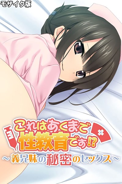 これはあくまで性教育です！？ 〜義兄妹の秘密のセックス〜 モザイク版｜大人のSEXY絵本