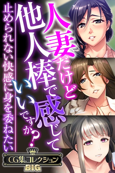 人妻だけど他人棒で感じていいですか？〜止められない快感に身を委ねたい〜【CG集コレクションBIG】｜大人のSEXY絵本