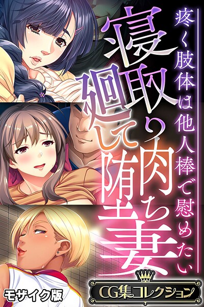 寝取り廻して肉堕ち妻 〜疼く肢体は他人棒で慰めたい〜【CG集コレクション】 モザイク版｜大人のSEXY絵本