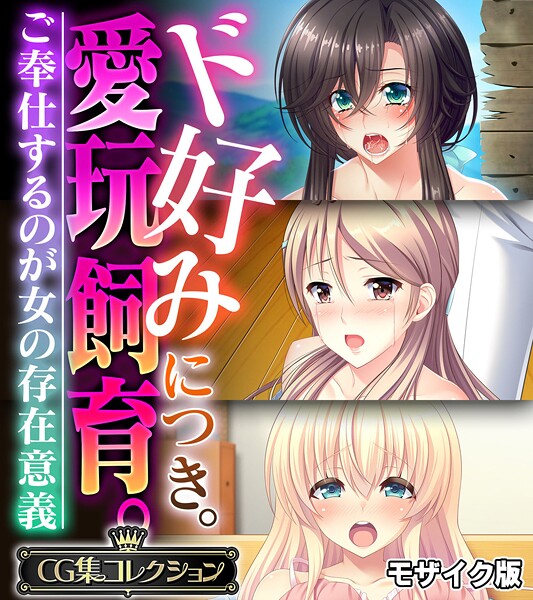 ド好みにつき。愛玩飼育。 〜ご奉仕するのが女の存在意義〜【CG集コレクション】 モザイク版｜大人のSEXY絵本