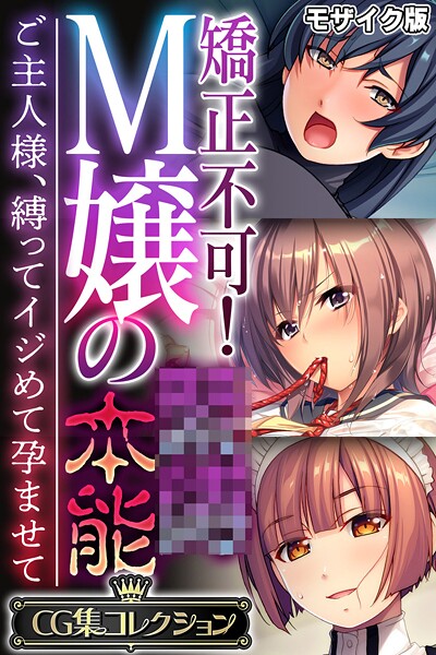 矯正不可!M嬢の●●本能 〜ご主人様、縛ってイジめて孕ませて〜【CG集コレクション】 モザイク版