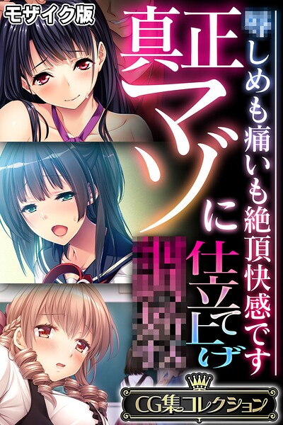真正マゾに仕立て上げ●● 〜●しめも痛いも絶頂快感です〜【CG集コレクション】 モザイク版｜大人のSEXY絵本