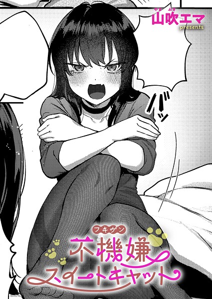 不機嫌スイートキャット｜山吹エマ