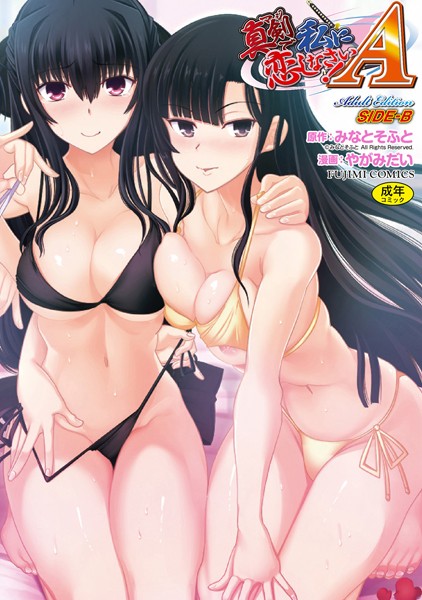 真剣で私に恋しなさい！ A Adult Edition SIDE-B｜やがみだい