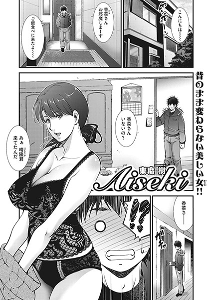 Aiseki（単話）｜東磨樹
