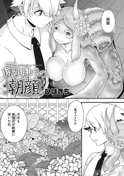 雨明けの朝顔（単話）｜ひばきち