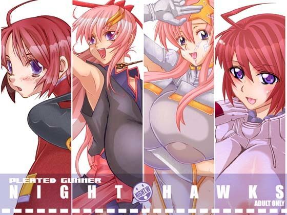 NIGHT HAWKS QUADRILOGY｜HGH